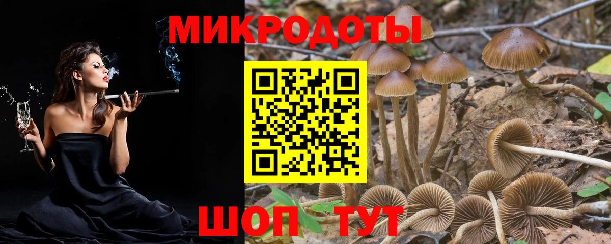 Галлюциногенные грибы ЛСД  Вход с VPN  что такое   Лесосибирск 